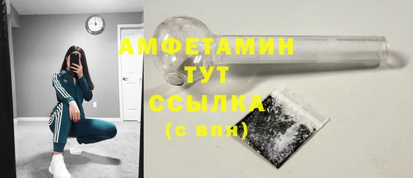 сатива Аркадак