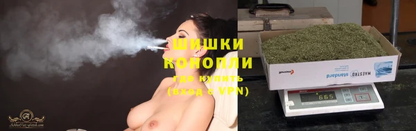 сатива Аркадак