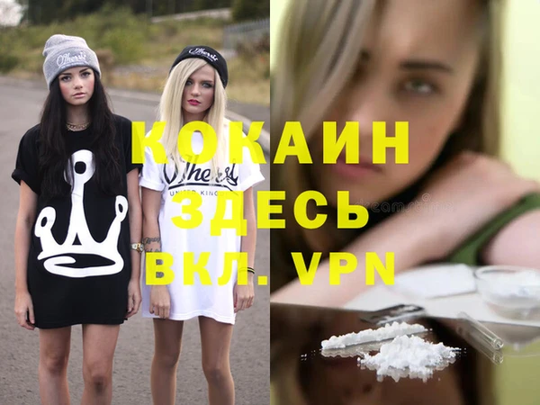 сатива Аркадак