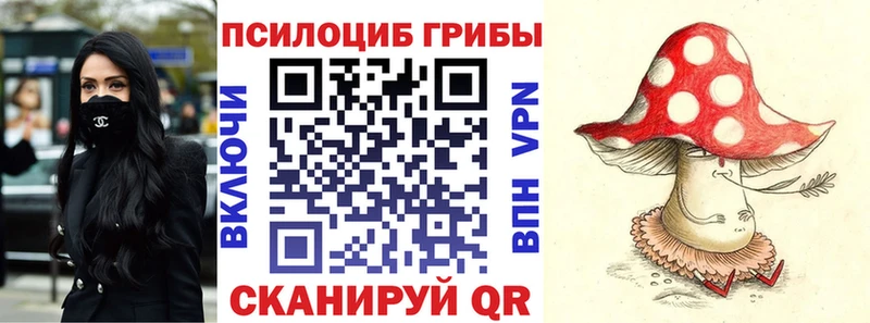 купить  цена  Татарск  Галлюциногенные грибы Cubensis 